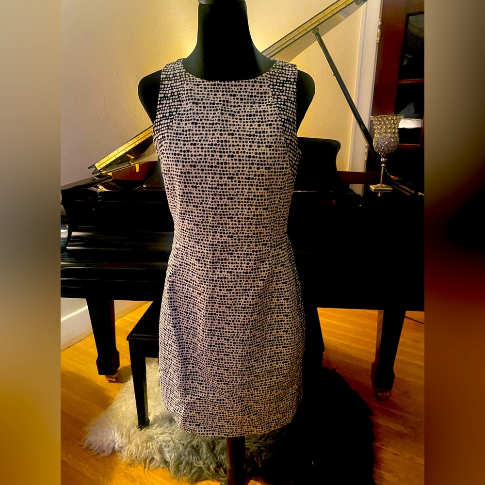 Banana Republic Dress Stretch Material